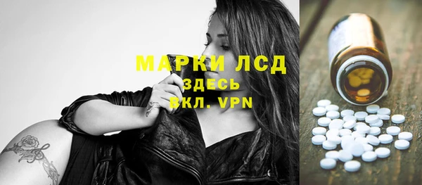 меф Ельня