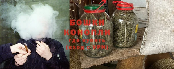 ешки Дмитриев