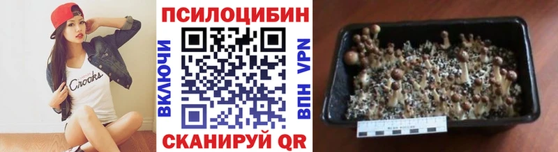 Галлюциногенные грибы прущие грибы  Купить закладки  Звенигород 