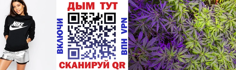 Бошки марихуана гибрид  Купить  Звенигород 
